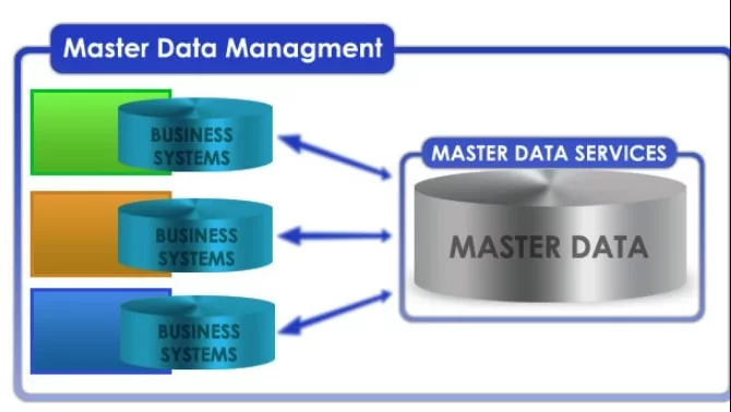 Master Data Management Cloud Software